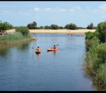 Camping Les Viviers 4 Etoiles Cap Ferret Mobilhome 6-8 Personnes Леж-Кап-Ферре Экстерьер фото